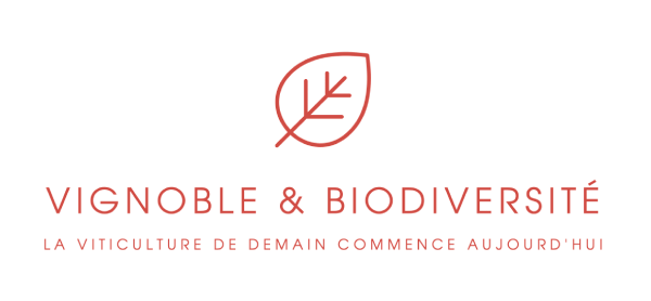 Vignoble et biodiversité
